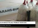 Video: Pembuat Bom Ikan di Banyuwangi Dibekuk