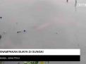 Video: Penampakan Buaya Gegerkan Warga Sidoarjo