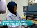 Video: Permintaan Trombosit di Ponorogo Meningkat