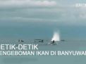 Video: Nelayan Gunakan Bom Ikan di Banyuwangi
