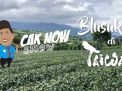 Cak Now Show: Blusukan di Taiwan