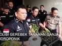 Video: Polisi Gerebek Rumah Berisi Tanaman Ganja Hidroponik