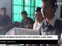 Video: Cerita Korban Investasi Sapi Perah asal Luar Pulau Jawa