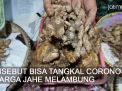 Video: Disebut Bisa Tangkal Corona, Harga Jahe Melambung