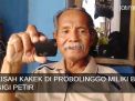 Video: Kisah Kakek di Kota Probolinggo Miliki Batu Gigi Petir