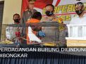 Video: Perdagangan Burung Dilindungi Dibongkar
