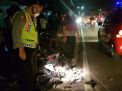 Pengendara Motor Tewas dalam Kecelakaan Beruntun di Ponorogo