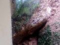 Tebing Longsor di Ponorogo Timpa Rumah Warga
