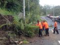 Tebing Jalan Sarangan Longsor, Jalur Jawa Timur-Jawa Tengah Terhambat