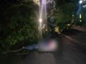 Angin Kencang, Pengendara Motor Tewas Tertimpa Pohon