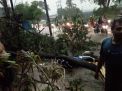 Hujan Deras di Surabaya Juga Sebabkan Pengendara Motor Tertimpa Pohon