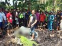 Seorang Kakek Tewas Terbakar di Kebun Bambu