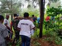 Mayat Pria Ditemukan Berselimut Sarung dalam Gubuk di Hutan Ngawi