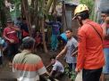 Sapi Terperosok dalam Septic Tank, Tim BPBD hingga TNI Diterjunkan
