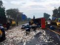 Truk Terguling di Tol Sidoarjo, Muatan Ikan Berhamburan ke Jalan