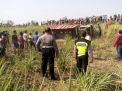 Truk Bermuatan 25 Buruh Tani Terguling di Ngawi, Satu Orang Tewas