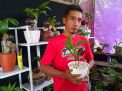 Pria di Ponorogo ini Sukses Kembangkan Bonsai Kelapa