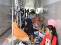 Pasien Demam Berdarah di Ponorogo Meningkat, Begini Kondisinya