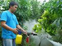 Keren, Warga Ponorogo Ciptakan Alat Fogging Mini