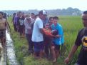 Mencari Rumput di Sawah, Petani Tewas Tersambar Petir