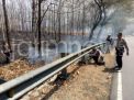 Hutan Jati di Baluran Terbakar, Setelah 3 Jam Bisa Dipadamkan