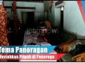 Video: Tema Panoragan Meriahkan Pilgub di Ponorogo