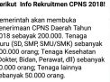 Beredar Info Rekruitmen CPNS 2018, Kemenpan RB: Hoax