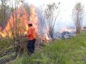 Kebakaran Hutan Gunung Meranti Semakin Meluas