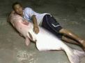 Ikan Sebesar Manusia Dikabarkan Tertangkap di Bojonegoro: Hoaks!