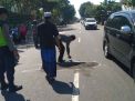 Jadi Korban Tabrak Lari, Seorang Biker asal Situbondo Tewas