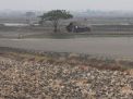Foto: Efek Kemarau, Sawah dan Tambak di Gresik Mengering