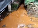 Sungai Wringinanom Gresik Tercemar Limbah Industri