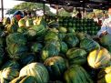 Penjualan Buah Blewah pada Ramadan ini Menurun Imbas Corona