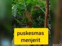 Video Jeritan Petugas Puskesmas untuk Wali Kota Risma, Ini Kata Pemkot