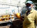 Inspiratif! Kisah Pedagang Buah di Gresik yang Pantang Menyerah