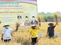 Ketua Golkar Jatim Instruksikan Pengurus dan Anggota Beli Beras dari Petani