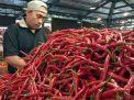 Jelang Idul Adha, Harga Cabai Merah di PIOS Tetap Stabil