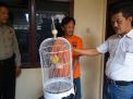 Pencuri Love Bird Diciduk Polisi di Pasar Burung