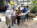 Nasib Ikan Predator Arapaima yang Sudah Diamankan Menunggu Bu Susi