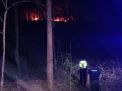 8,5 Hektar Lahan Perhutani di Ponorogo Terbakar 