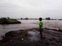 100 Hektar Sawah di Mojokerto Terendam Akibat Tanggul Sungai Jebol