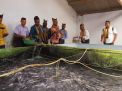 24 Negara Asia-Afrika Belajar Budidaya Ikan di Banyuwangi