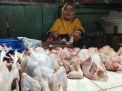 Pedagang di Banyuwangi Was-was soal Harga Ayam dan Telur