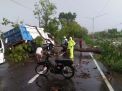 Angin Puting Beliung Terjang Magetan, Puluhan Pohon Tumbang