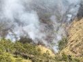 Kebakaran di Lereng Gunung Ringgit Meluas, Ada 3 Titik Api Terdeteksi