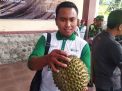 Mencicipi Legitnya Durian Kanjeng Asal Ponorogo
