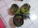Curi 3 Elpiji Melon, Pemuda di Ngawi Dihajar Warga