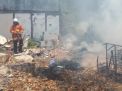 Dua Ekor Kambing Terpanggang saat Kandangnya Terbakar