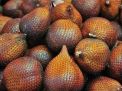 Mengenal Jenis Buah Salak Unggulan yang Tersedia di PIOS
