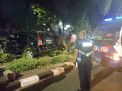 Mobil ini Tiba-tiba Nyungsep dan Terbalik di Atas Taman